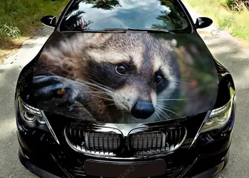 mosómedve állat Autó motorháztető vinil matricák csomagolása vinil film Motorfedél matricák matricák autó autó tartozékok